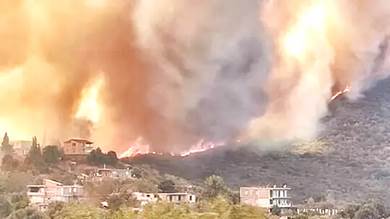 الجزائر.. السيطرة على 20 حريق غابات في ولاية بجاية